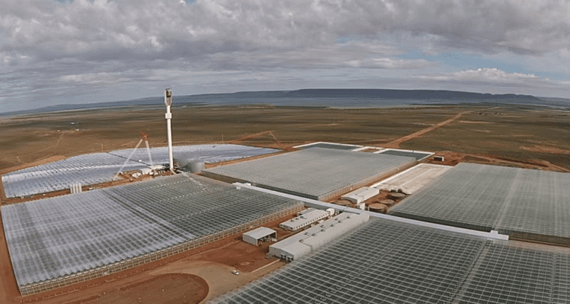 How to use solar energy to grow tomatoes in the desert.