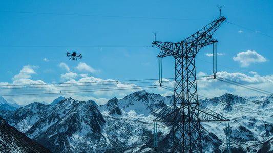 The Drone Inspection of Power Grids