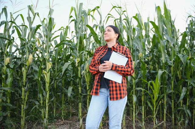 China's agricultural drones help Mexico develop agriculture